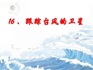 跟踪台风的卫星