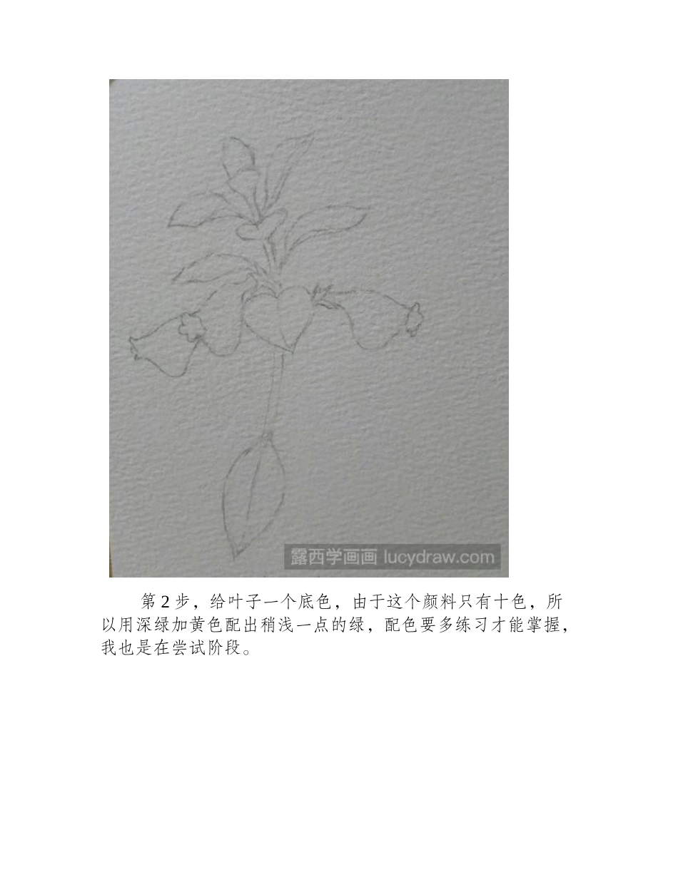 金鱼草水彩画教程水彩画教程_第2页