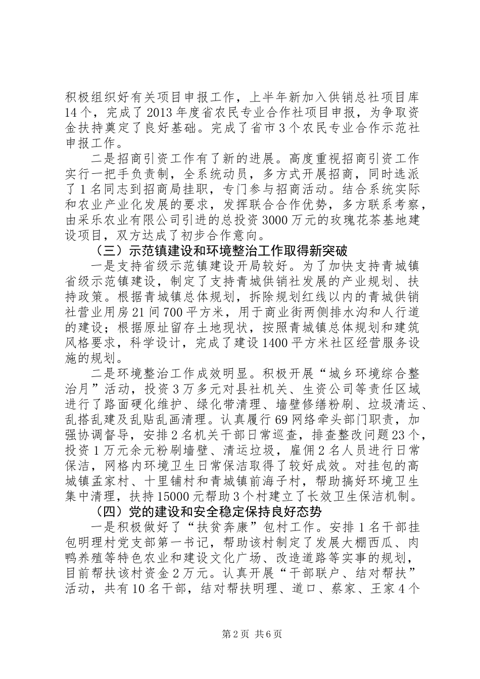 供销社上半年总结和下半年打算_第2页