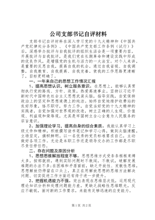 公司支部书记自评材料