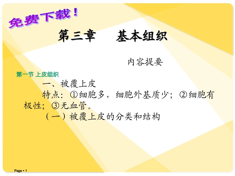解剖学课件：基本组织_第1页