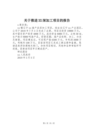 关于推进XX深加工项目的报告