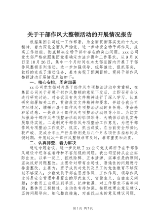 关于干部作风大整顿活动的开展情况报告