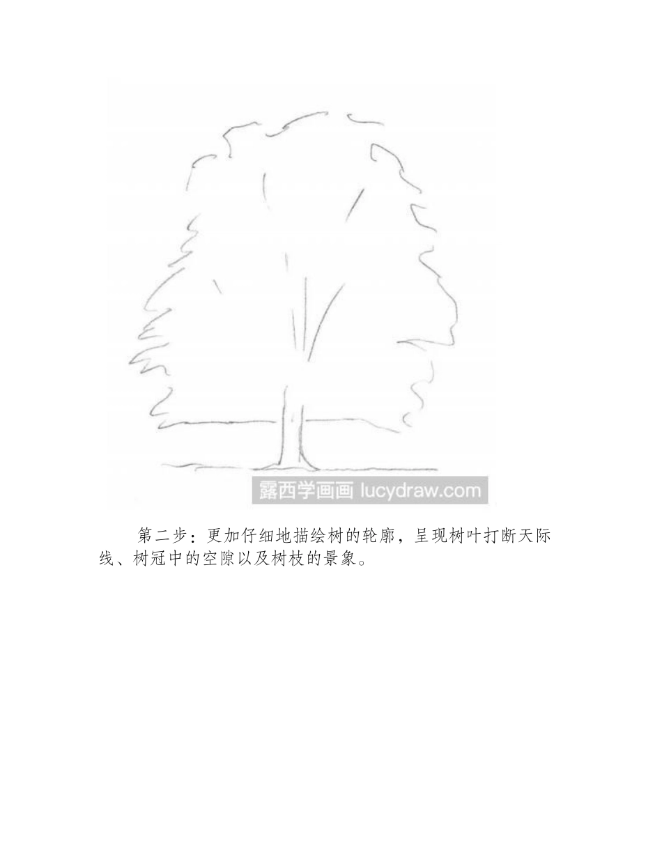 落叶树的素描教程素描教程_第2页