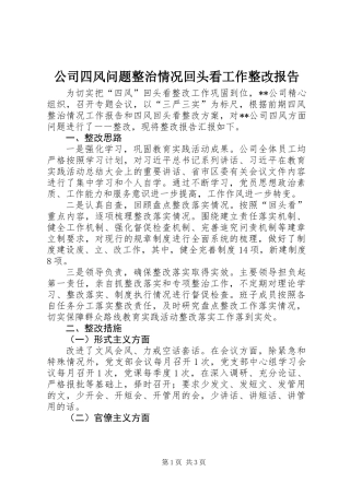 公司四风问题整治情况回头看工作整改报告