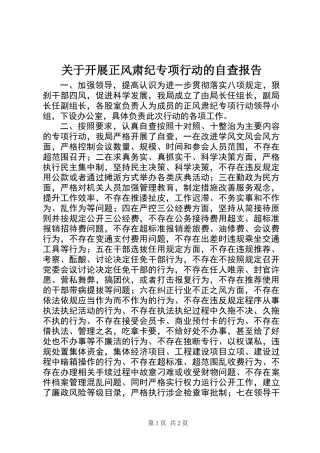 关于开展正风肃纪专项行动的自查报告