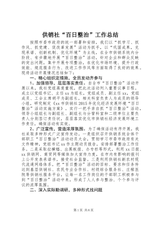 供销社“百日整治”工作总结