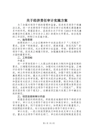 关于经济责任审计实施方案