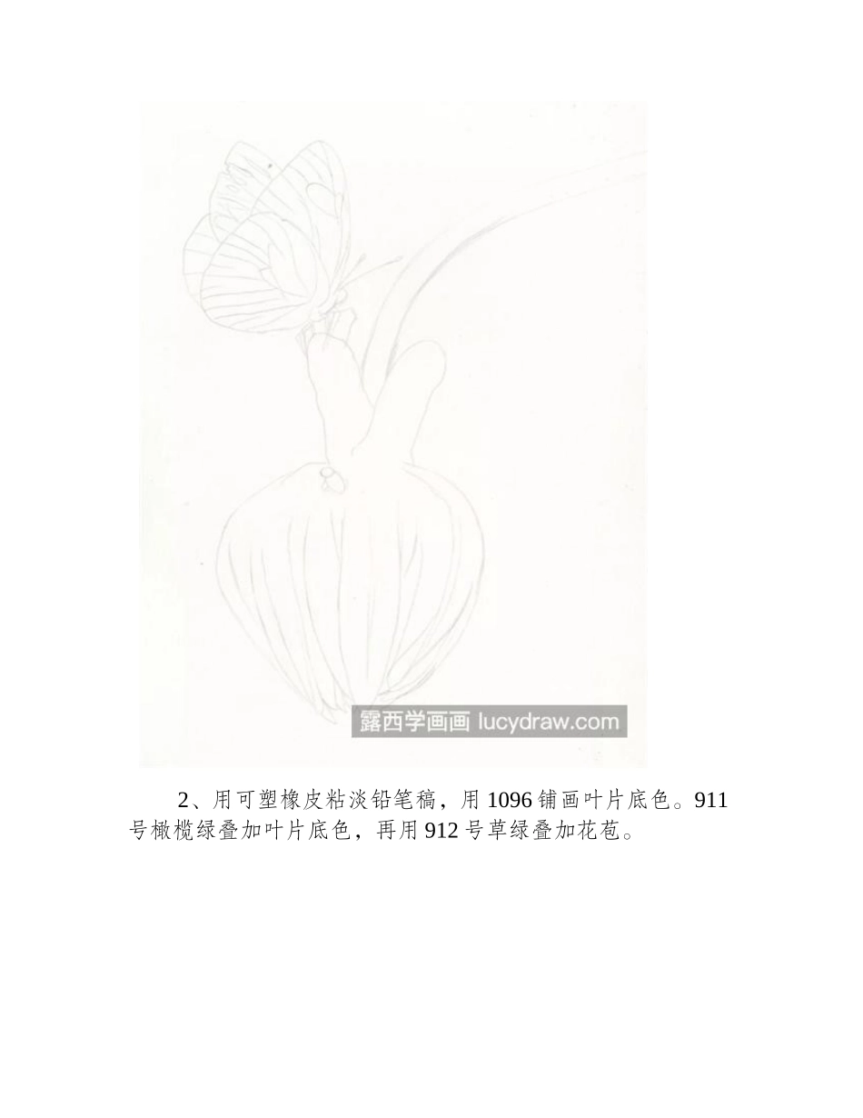 可爱的花苞怎么画_具体的彩铅画法是什么_彩铅画教程_第2页