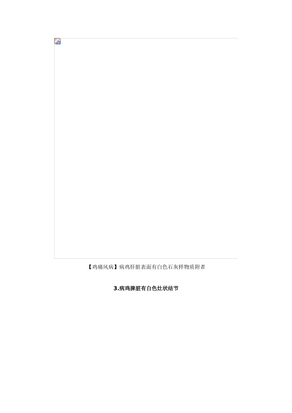 鸡痛风 症状图谱_第2页