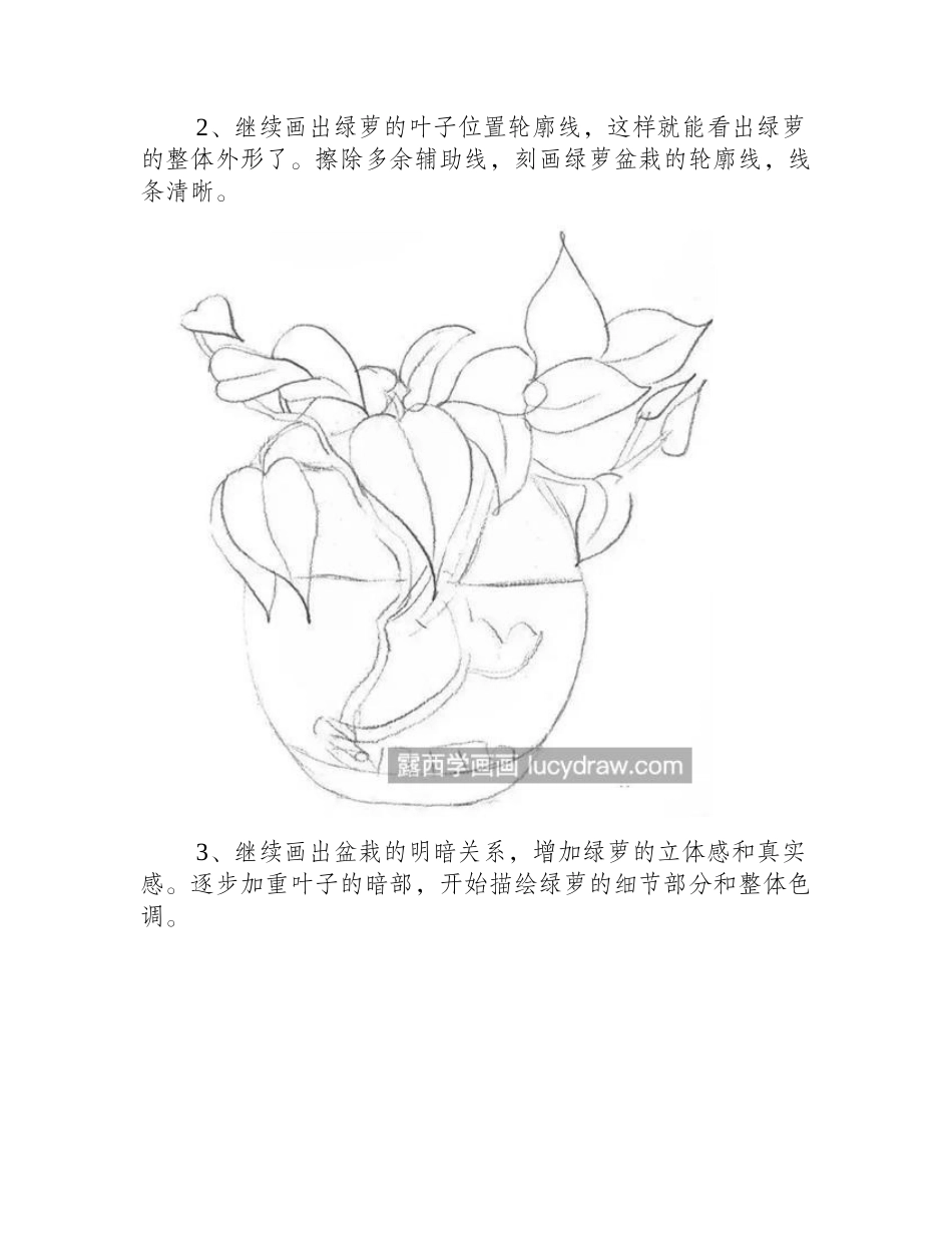 绿萝怎么画_有哪些绘画步骤_素描教程_第2页