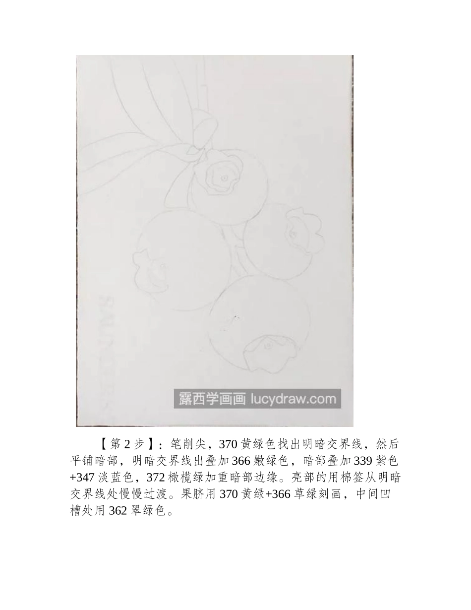 蓝莓怎么画_详细的绘画步骤有哪些_彩铅画教程_第2页