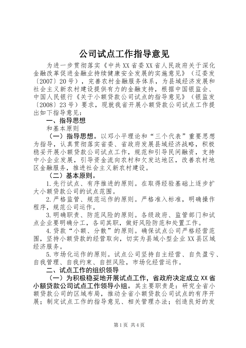 公司试点工作指导意见_第1页