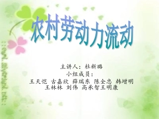 经1101第二组劳动力流动修改