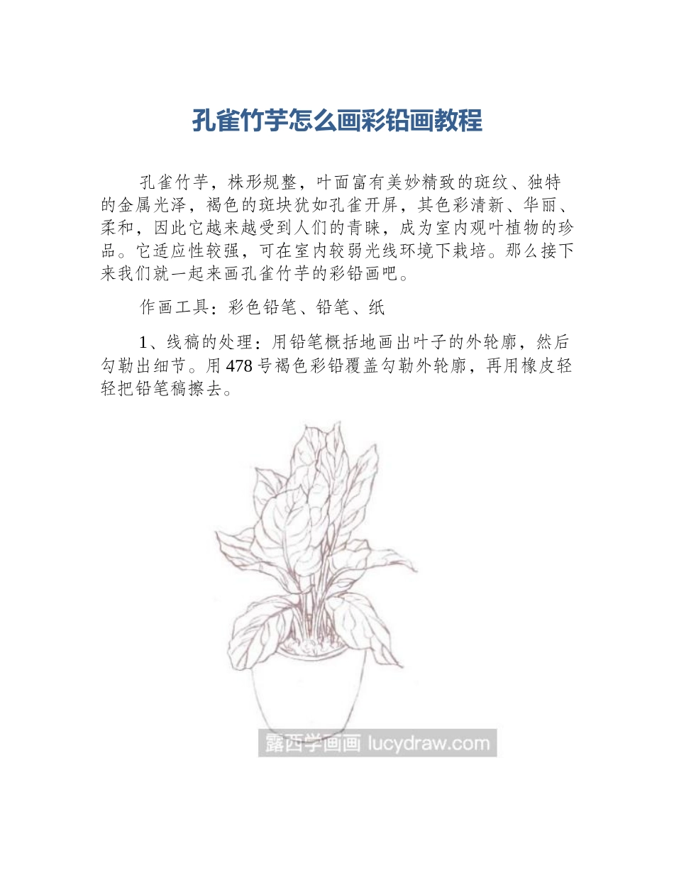 孔雀竹芋怎么画彩铅画教程_第1页