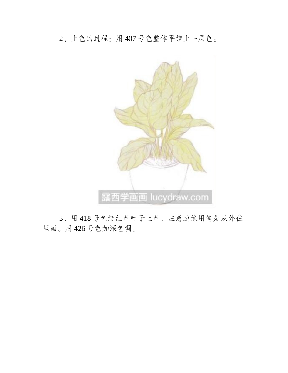 孔雀竹芋怎么画彩铅画教程_第2页