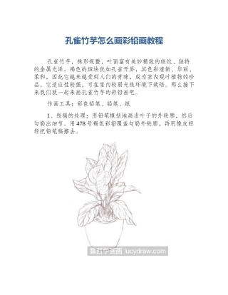 孔雀竹芋怎么画彩铅画教程