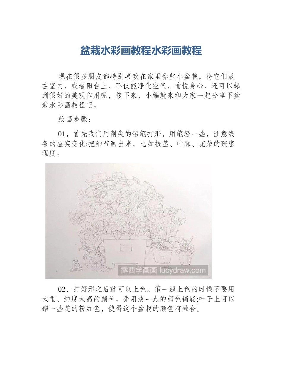 盆栽水彩画教程水彩画教程_第1页