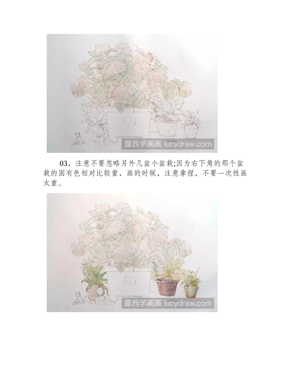 盆栽水彩画教程水彩画教程_第2页