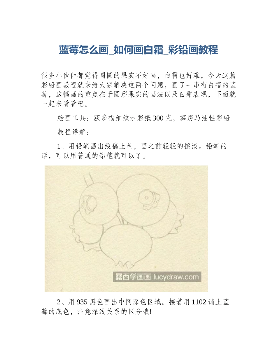 蓝莓怎么画_如何画白霜_彩铅画教程_第1页