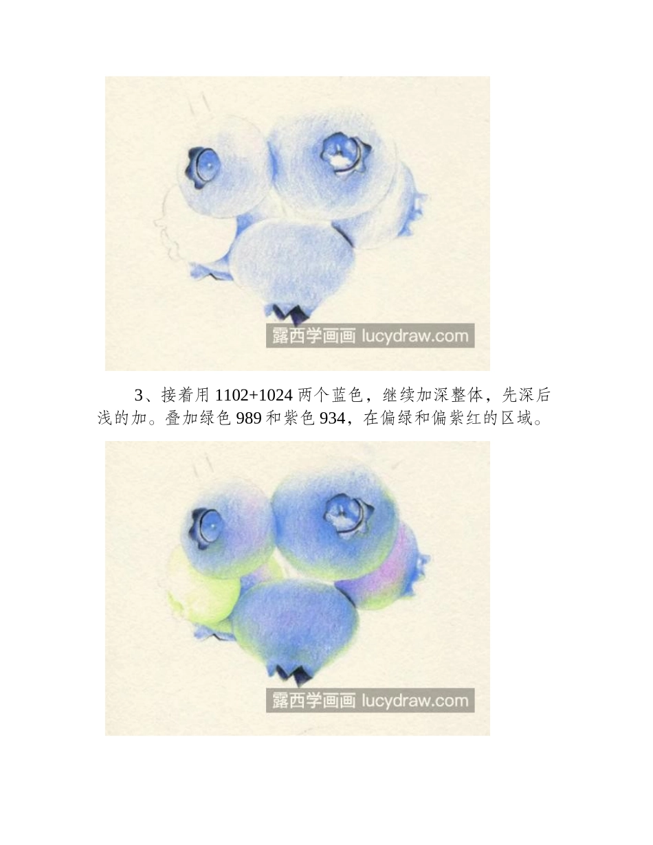 蓝莓怎么画_如何画白霜_彩铅画教程_第2页
