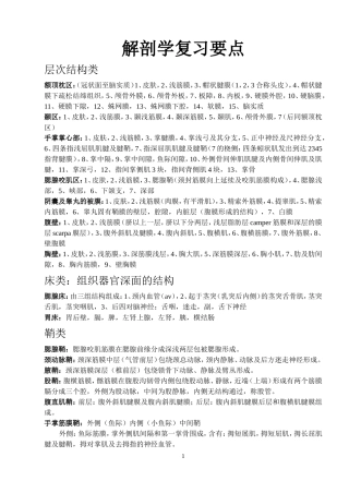 解剖学复习要点