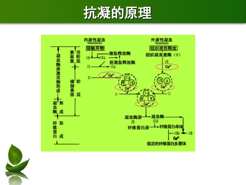 枸橼酸血液透析_第2页