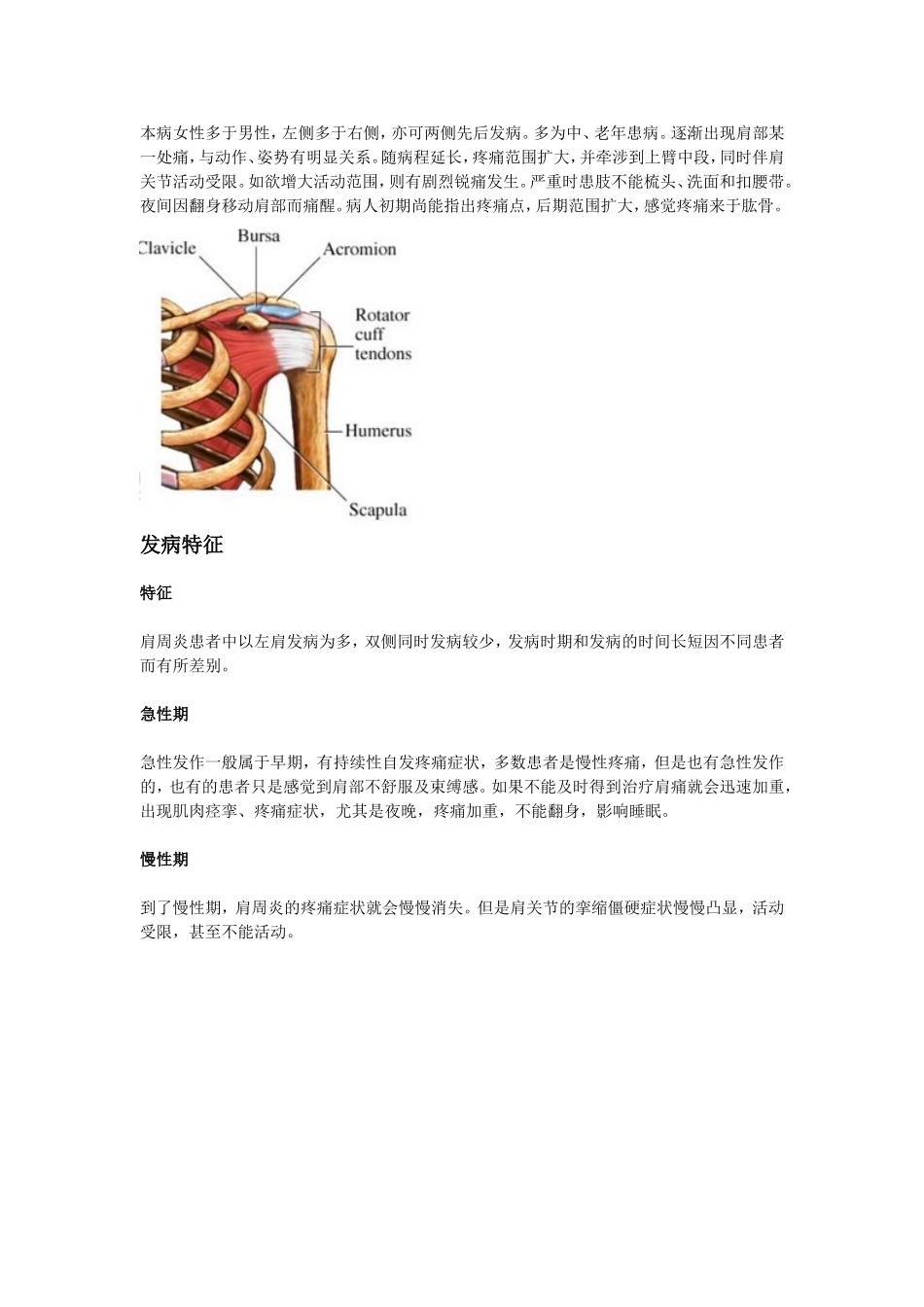肩膀疼分类之：肩周炎引起的肩膀疼痛_第2页