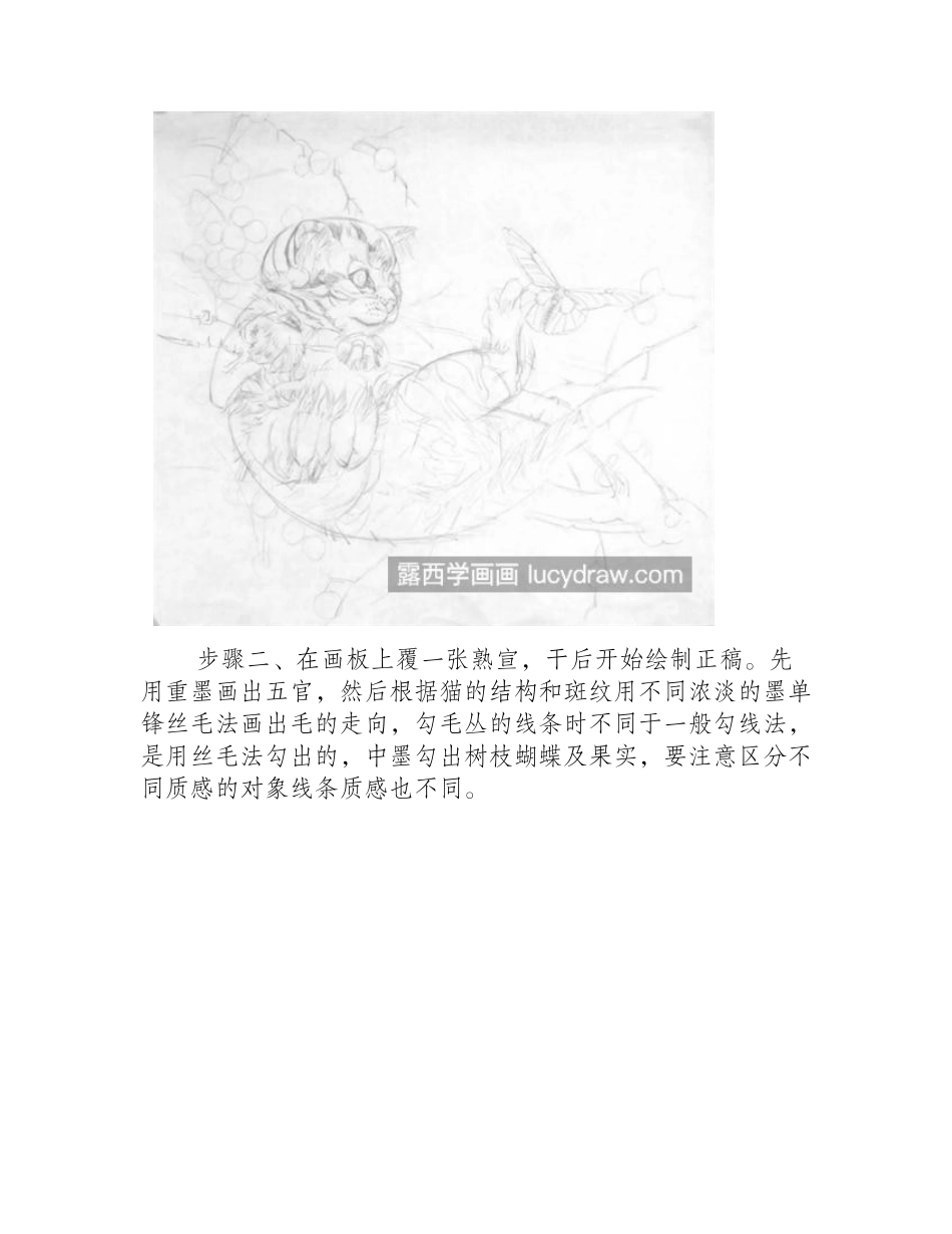 猫扑蝶怎么画_工笔绘画流程是什么_工笔画教程_第2页