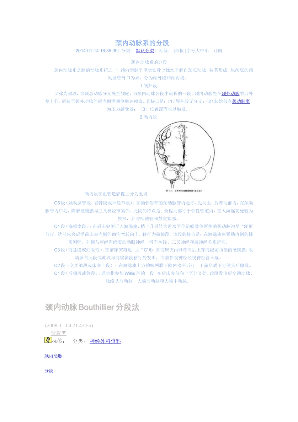 颈内动脉系的分段.1_第1页
