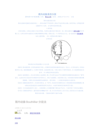颈内动脉系的分段.1