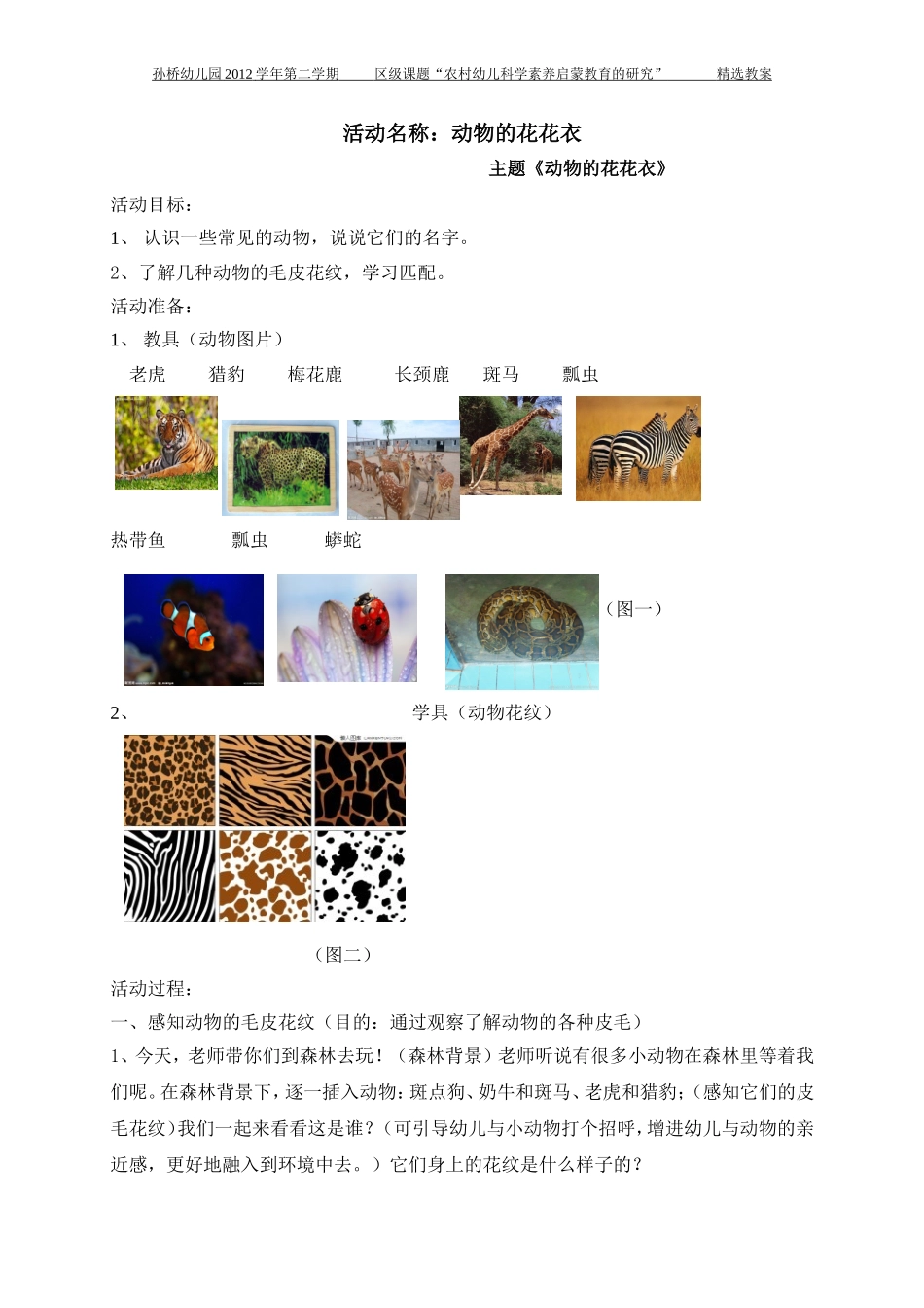 科学教案“动物花花衣”（正文）_第1页