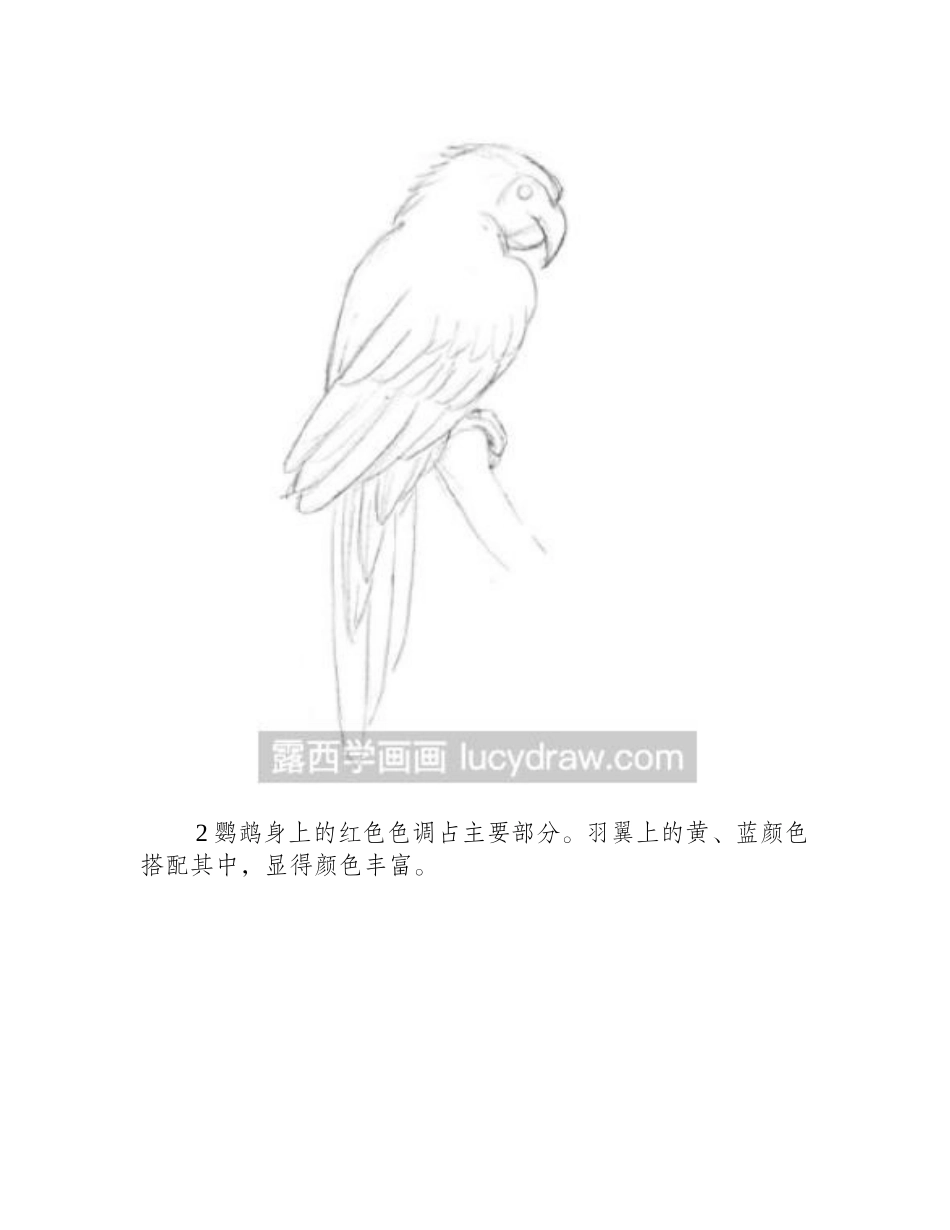 可爱鹦鹉彩铅画教程彩铅画教程1_第2页