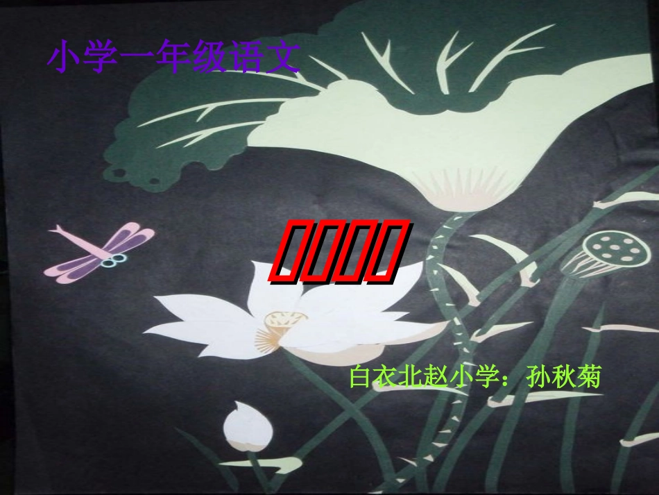 荷叶圆圆 (2)_第1页
