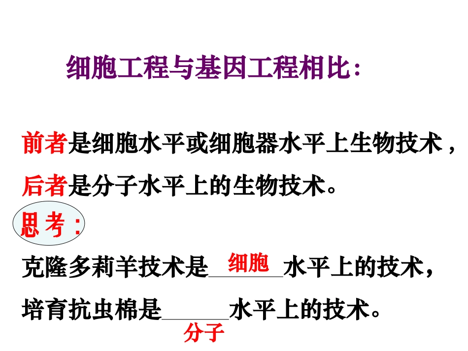 植物细胞工程的基本技术_第2页
