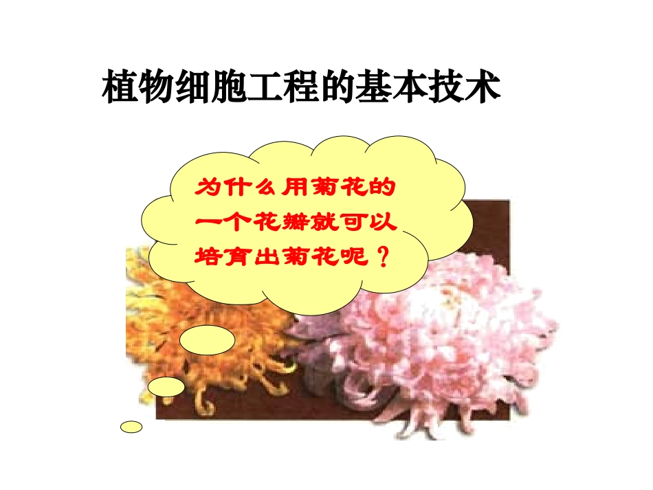 植物细胞工程的基本技术_第3页