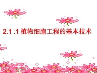 植物细胞工程的基本技术