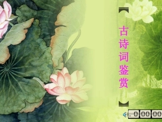中考古诗词赏析课件