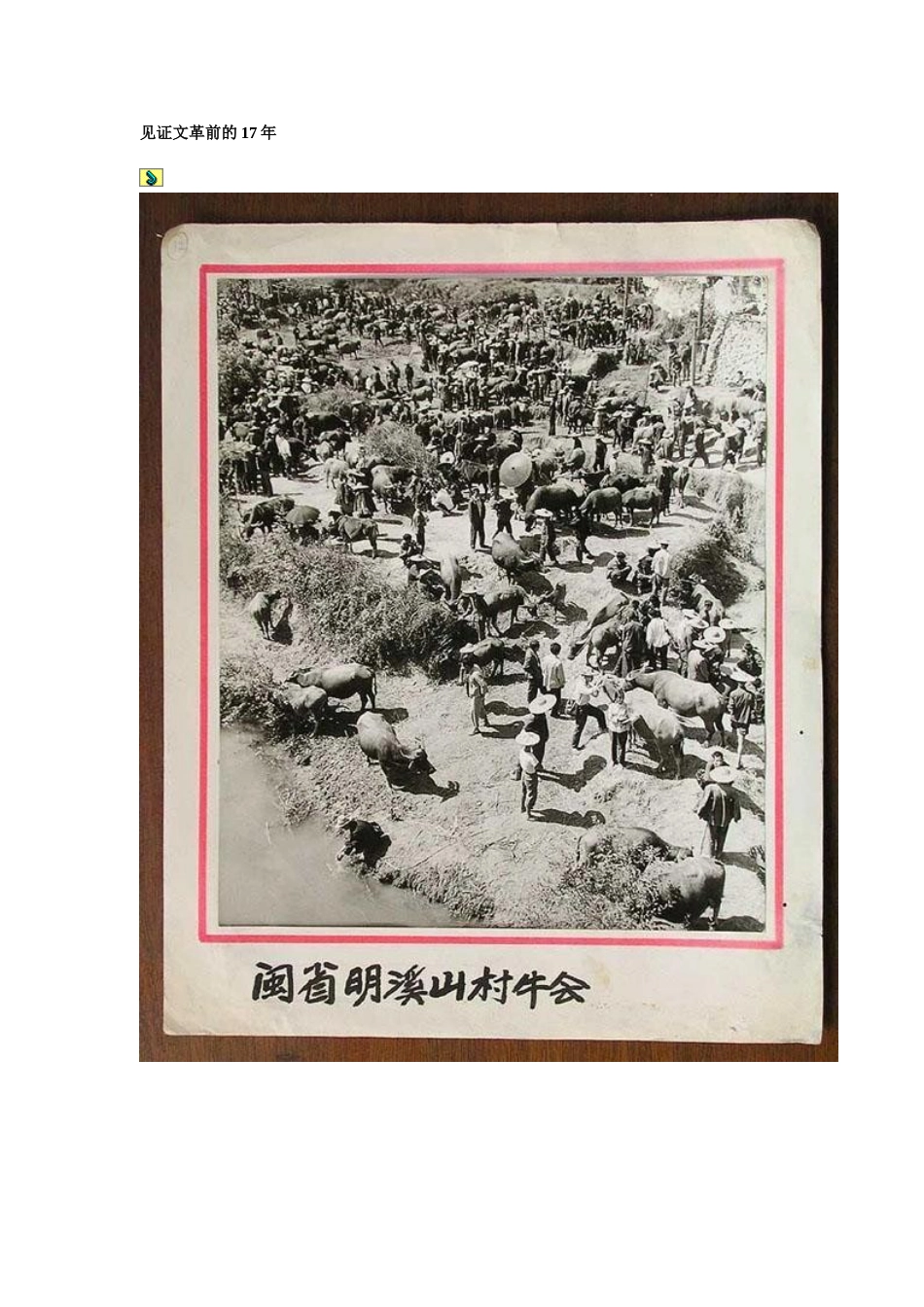 文革前的图片[成套]_第1页