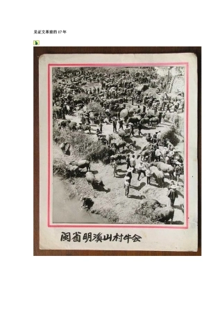 文革前的图片[成套]
