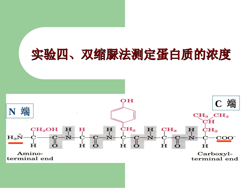 经典蛋白含量测定方法比较及双缩脲法实验步骤简介_第1页