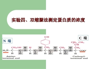 经典蛋白含量测定方法比较及双缩脲法实验步骤简介