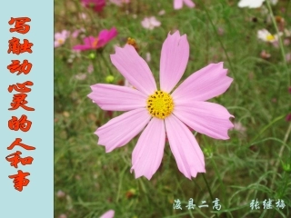 可用作文2写触动心灵的人和事