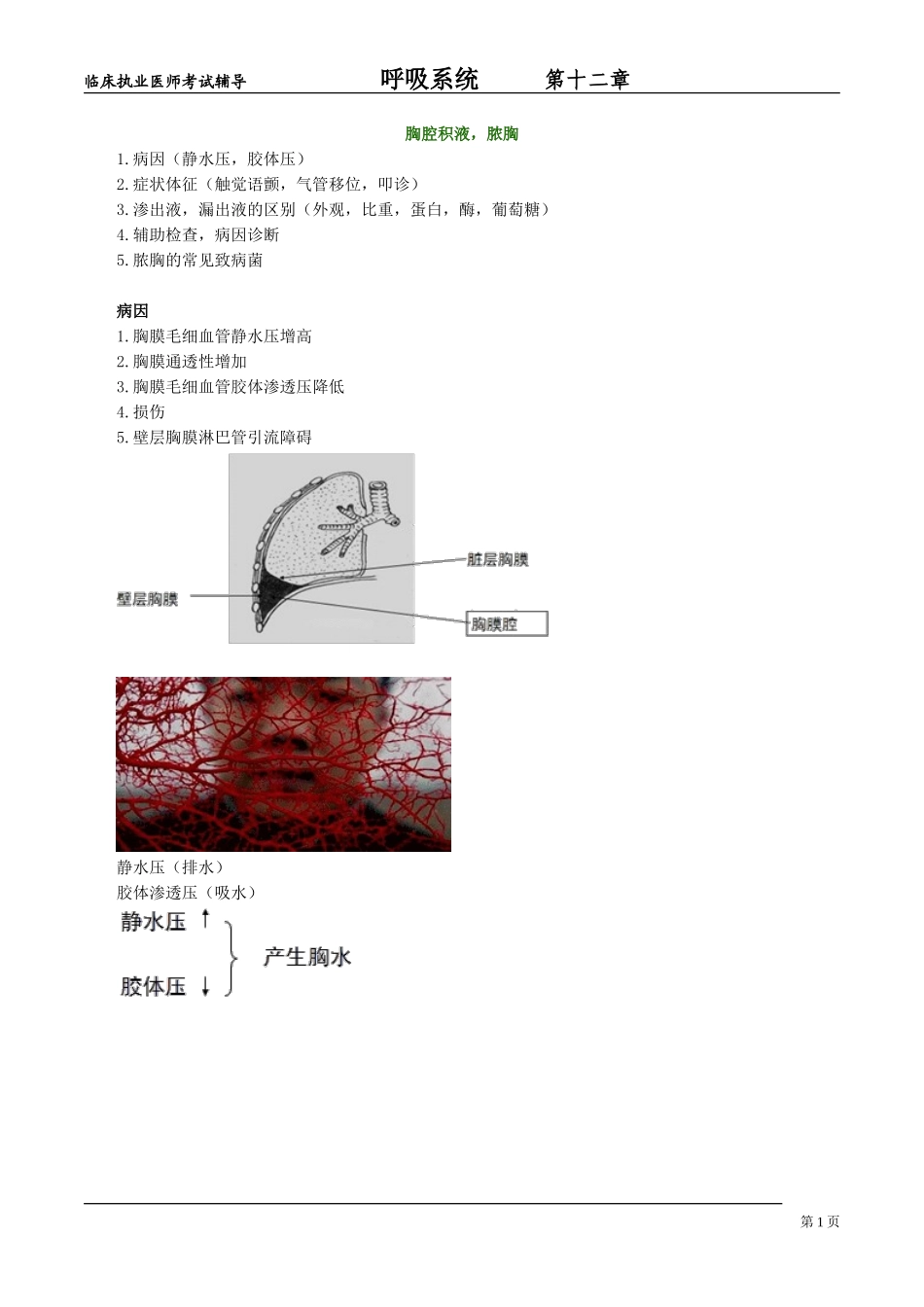 呼吸系统hxxt_jy1201_第1页