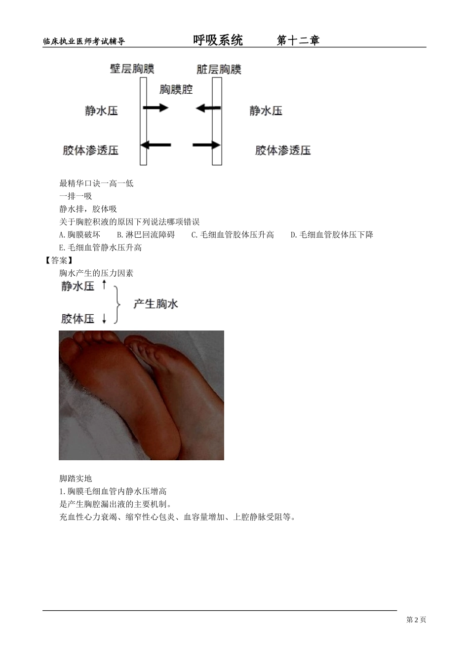 呼吸系统hxxt_jy1201_第2页