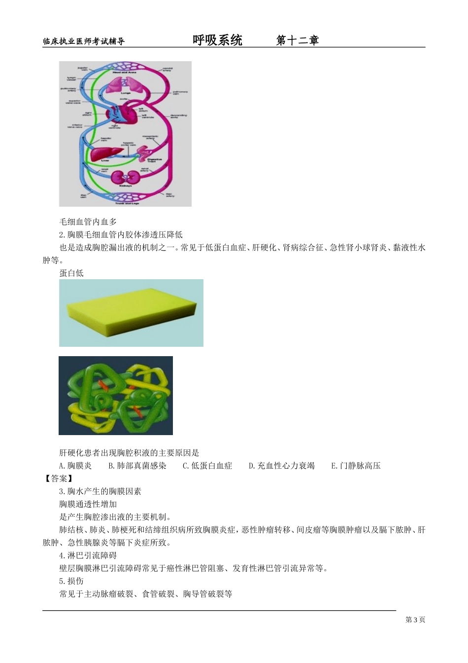 呼吸系统hxxt_jy1201_第3页