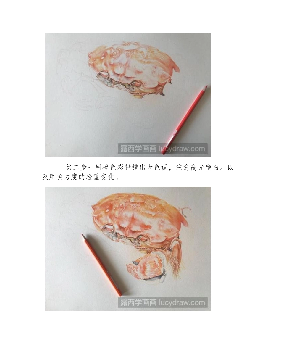 螃蟹彩铅画教程彩铅画教程_第2页