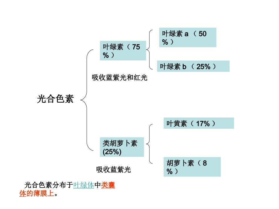 光合作用(光合色素)_第2页