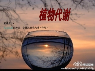 光合作用(光合色素)