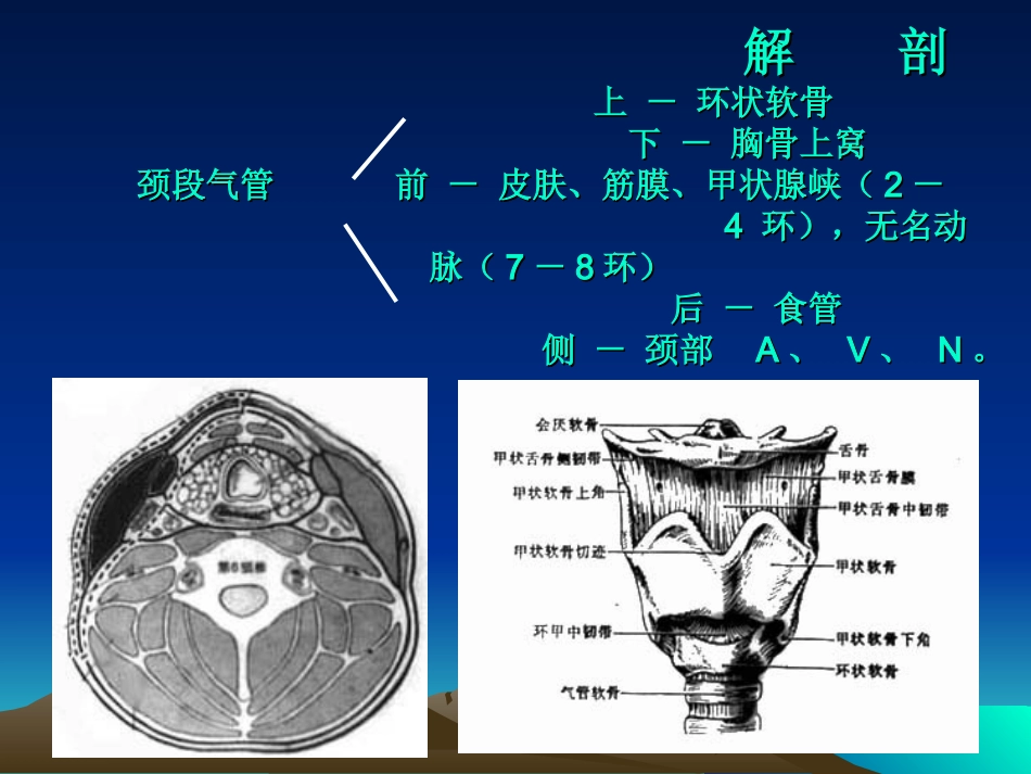 经皮式气管切开术_第3页